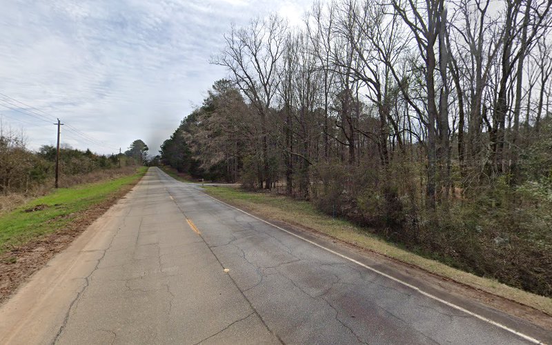 Robert T Guin Shop Washington Georgia