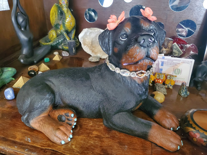 Funeral Services at Wheeler PETuary in Covington, Georgia | FuneralHomes.fyi Wheeler PETuary Covington Georgia