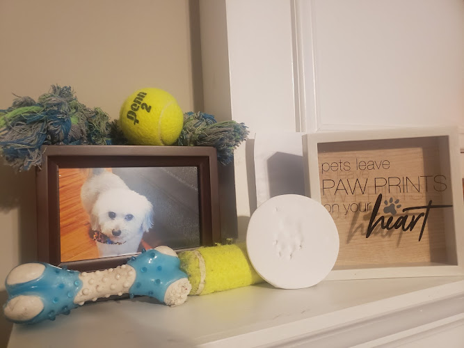 Funeral Services at Pet Angel Memorial Center in Atlanta, Georgia | FuneralHomes.fyi Pet Angel Memorial Center Atlanta Georgia