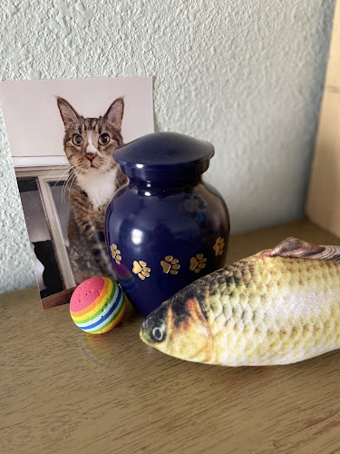 Funeral Services at Ark Pet Crematory in Sterling, Colorado | FuneralHomes.fyi Ark Pet Crematory Sterling Colorado