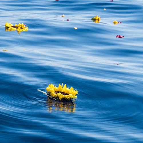 Funeral Services at Sea Burials – Scatter Ashes at Sea Service in Hallandale Beach, Florida | FuneralHomes.fyi Sea Burials – Scatter Ashes at Sea Service Hallandale Beach Florida