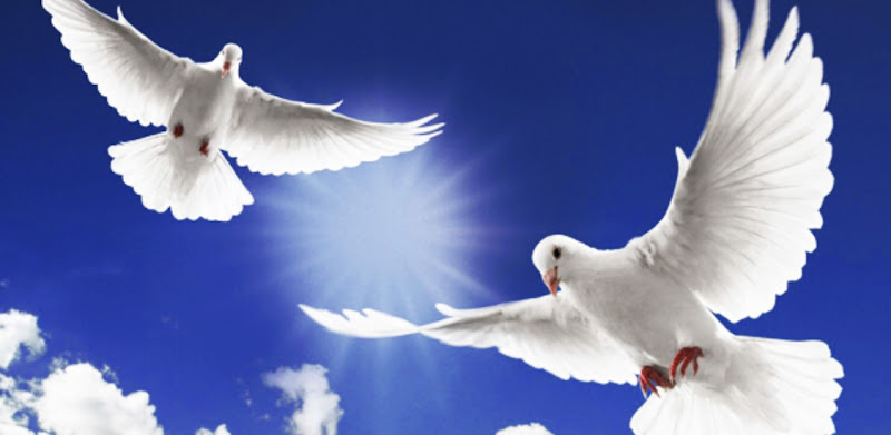 Zion Memorial Funeral Home Sylacauga Alabama