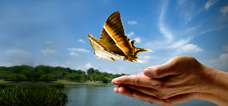 Funeral Services at Iowa City Cremation in North Liberty, Iowa | FuneralHomes.fyi Iowa City Cremation North Liberty Iowa