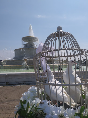 Flyers for Jimmy White Dove Release Kokomo Indiana