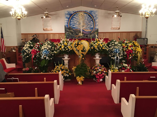 Funeral Services at Trinity Memorial Funeral Home Inc. in Kinston, North Carolina | FuneralHomes.fyi Trinity Memorial Funeral Home Inc. Kinston North Carolina