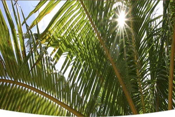 Funeral Services at Cremation Society of Southern California in Corona, California | FuneralHomes.fyi Cremation Society of Southern California Corona California