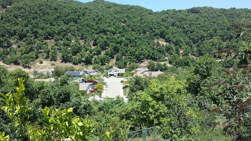 CALI HOME FUNERAL SERVICES INC San Diego California