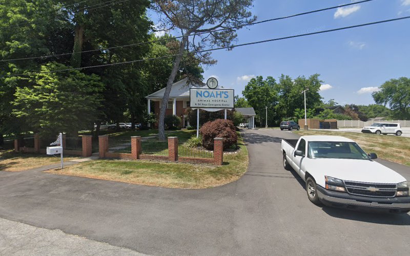 Pet Heaven Indianapolis Indiana