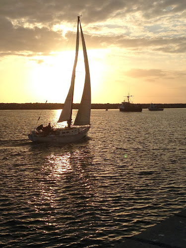 Nautilus Society Lawndale California