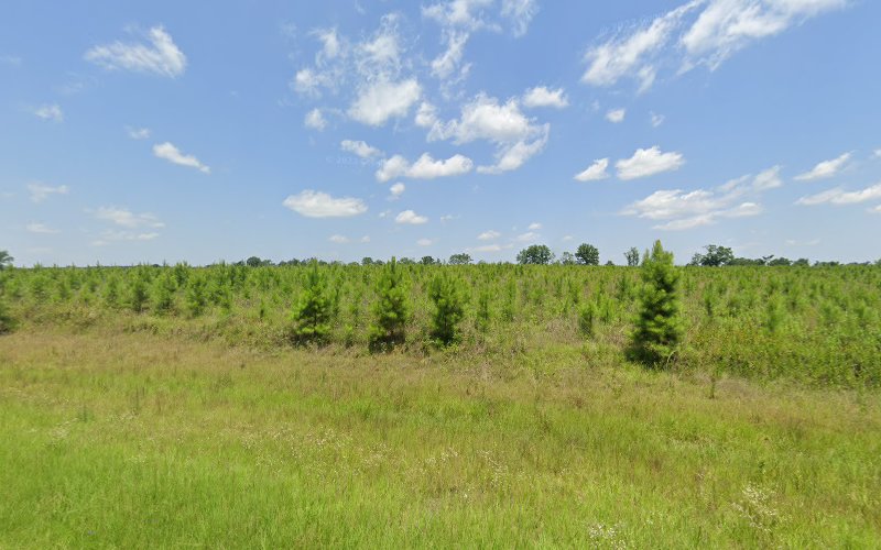 Community Funeral Home Shellman Georgia