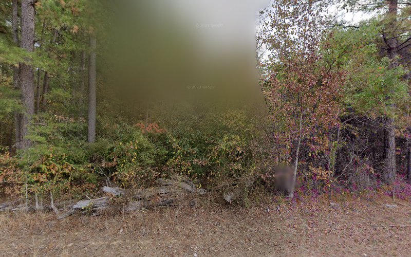 William Chapel Collinston Louisiana