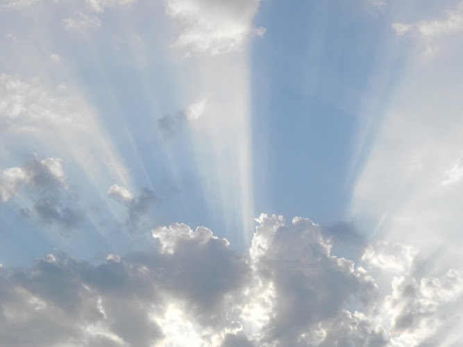 Funeral Services at Gasparini & Oliveri Funeral Home in Rockford, Illinois | FuneralHomes.fyi Gasparini & Oliveri Funeral Home Rockford Illinois