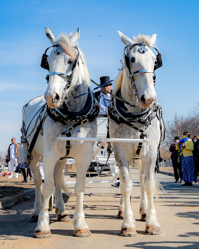 Funeral Services at Stuart Funeral Services in Brooklyn, New York | FuneralHomes.fyi Stuart Funeral Services Brooklyn New York