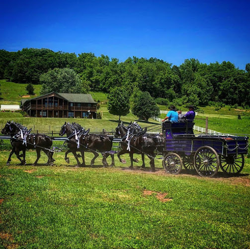 Riley Funeral Home & Cremation Services Chatfield Minnesota