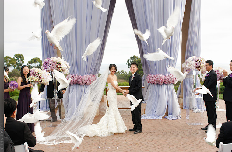 Funeral Services at Kando White Dove Release los angeles in Los Angeles, California | FuneralHomes.fyi Kando White Dove Release los angeles Los Angeles California