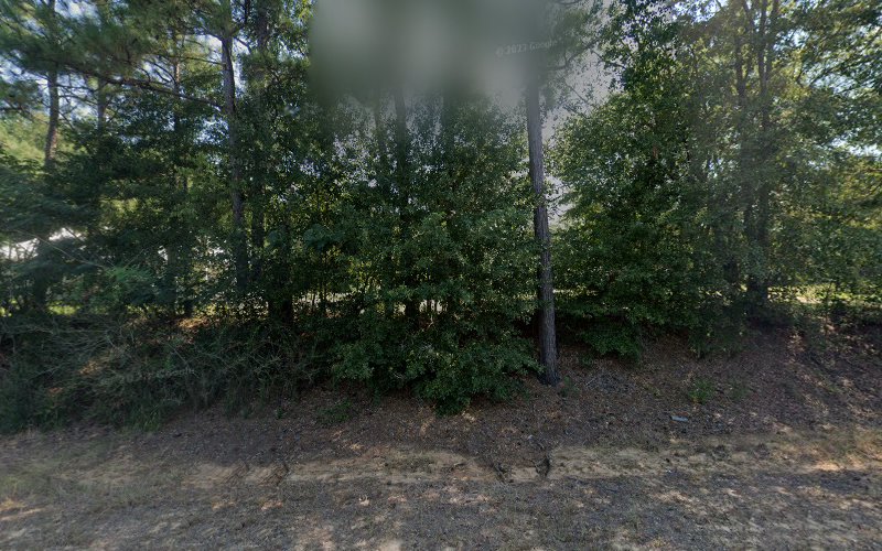 Preston T. Duckett Webb Alabama