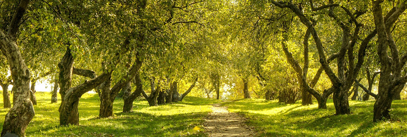 Funeral Services at Jeff Monreal Funeral Home in Willoughby, Ohio | FuneralHomes.fyi Jeff Monreal Funeral Home Willoughby Ohio