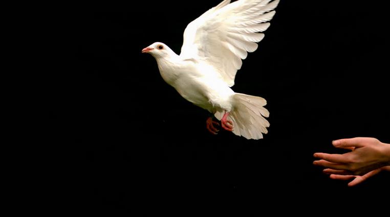 Funeral Services at Mile High Funeral & Cremation Services in Denver, Colorado | FuneralHomes.fyi Mile High Funeral & Cremation Services Denver Colorado