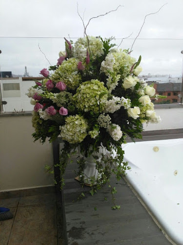 Thomas F. Dalton Funeral Home – New Hyde Park New Hyde Park New York