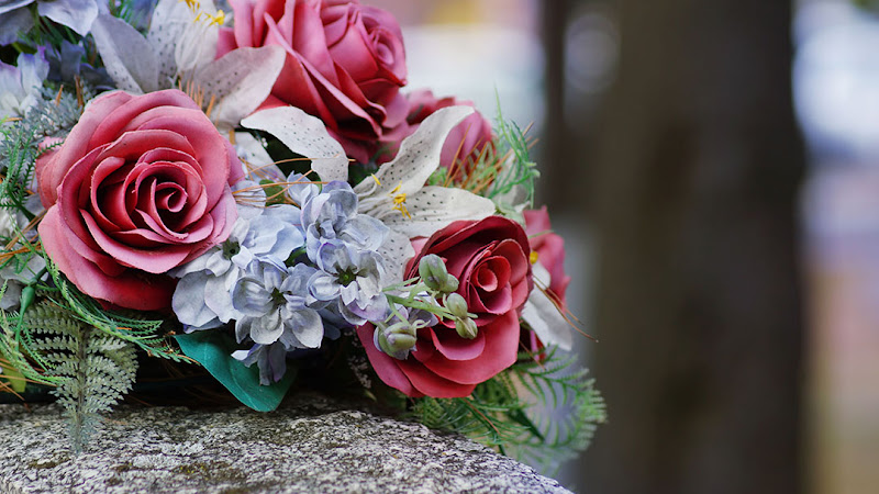 Funeral Services at Elmont Funeral Home in Elmont, New York | FuneralHomes.fyi Elmont Funeral Home Elmont New York