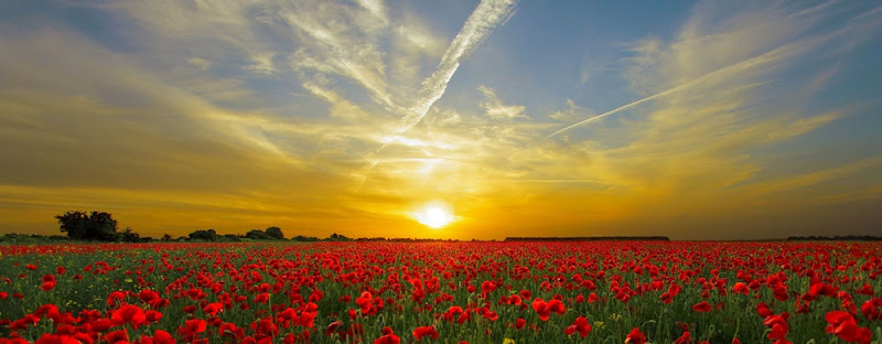 Burns Funeral Home Billerica Massachusetts