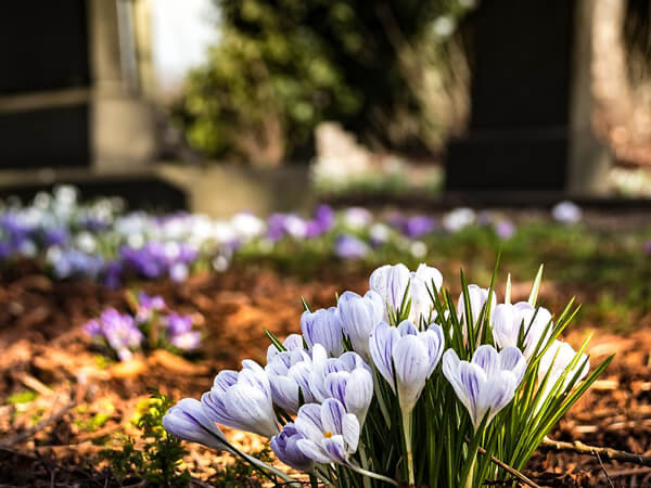 Funeral Services at Noe Funeral Service in Beaufort, North Carolina | FuneralHomes.fyi Noe Funeral Service Beaufort North Carolina