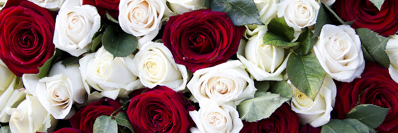 Funeral Services at Warren Meadows Funeral Home in Many, Louisiana | FuneralHomes.fyi Warren Meadows Funeral Home Many Louisiana