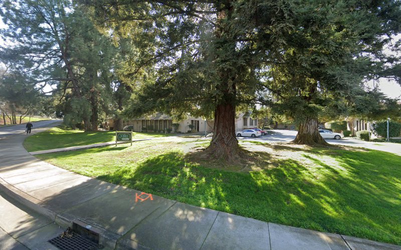 Brizzi Inc Sacramento California