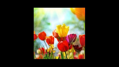 Thompson Bay View Mortuary Inc San Francisco California