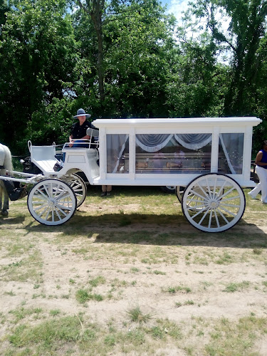 Wolfe Brothers Funeral Home West Memphis Arkansas