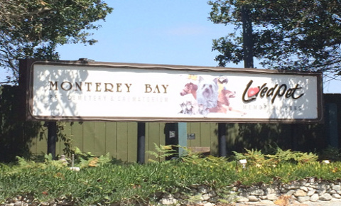 Funeral Services at LovedPet Memorial Park in Royal Oaks, California | FuneralHomes.fyi LovedPet Memorial Park Royal Oaks California