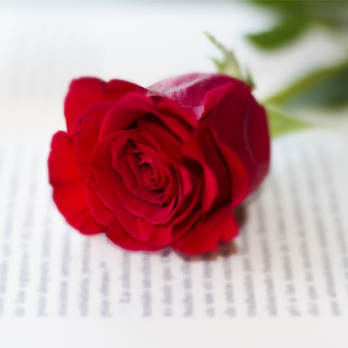 Jackson Mortuary Wichita Kansas