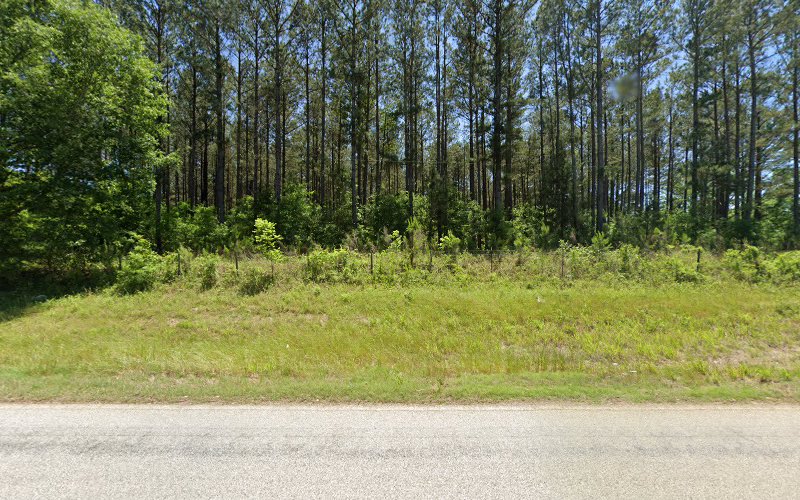 Central Funeral Services Louisville Alabama