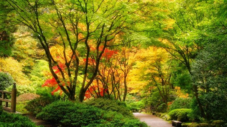 Fiocchi-Jensen Funeral Home Princeton Illinois