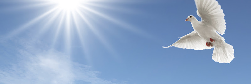 McNeill Funeral Home & Central Savannah River Crematory Augusta Georgia