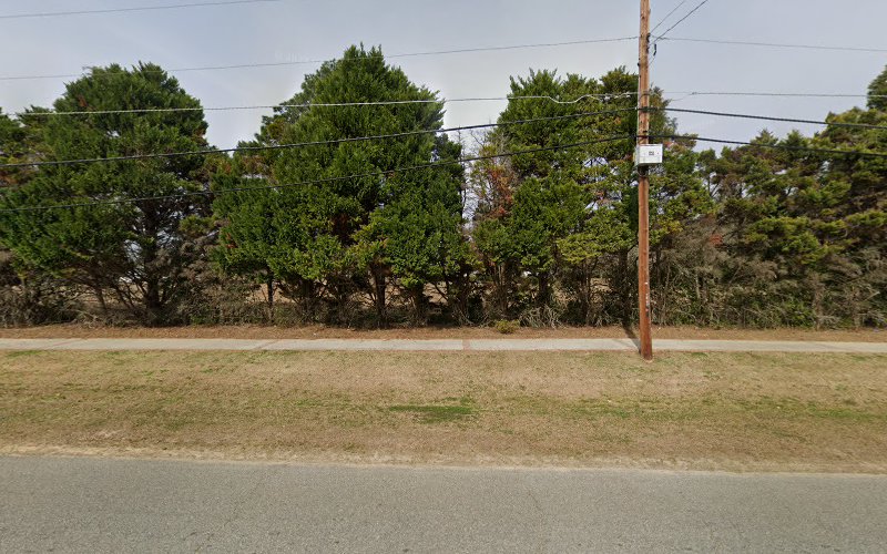 Towns Funeral Home Alamo Georgia