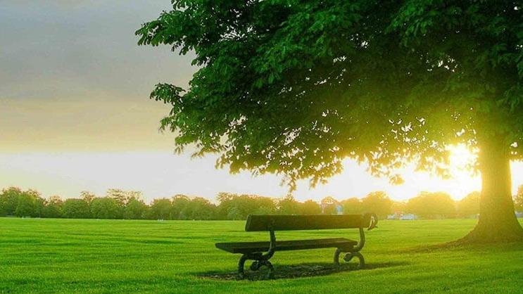 Max Brannon and Sons Funeral Home Calhoun Georgia