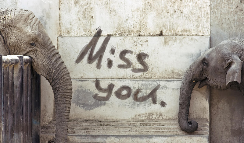 Funeral Services at TalkLoss – Funerals and Cremations in Chicago, Illinois | FuneralHomes.fyi TalkLoss – Funerals and Cremations Chicago Illinois