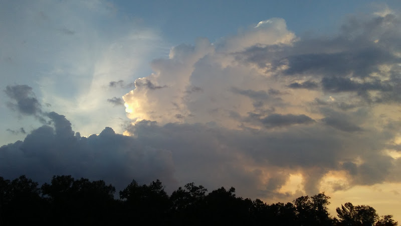 Perry Funeral Home Centre Alabama