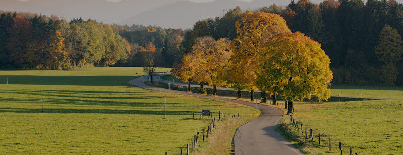 Funeral Services at Cremation Professionals in Wonder Lake, Illinois | FuneralHomes.fyi Cremation Professionals Wonder Lake Illinois