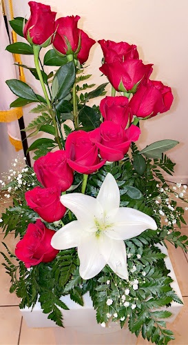 Funeral Services at Downing Funeral Home & Cremation Services in Spring Hill, Florida | FuneralHomes.fyi Downing Funeral Home & Cremation Services Spring Hill Florida