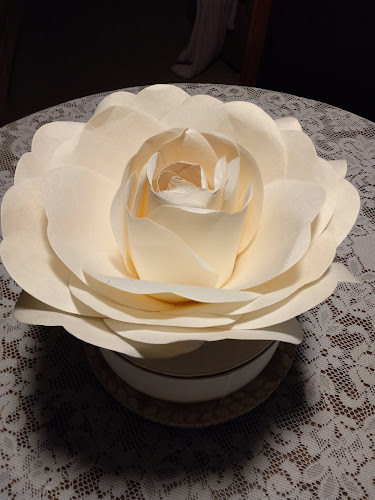 Community-Cremation.Com Lutz Florida