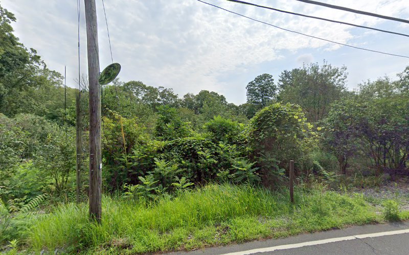 Art’s Place of Defunct Enlightenment Easton Connecticut