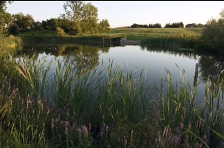 D L Miller Funeral Home Bloomingdale Michigan