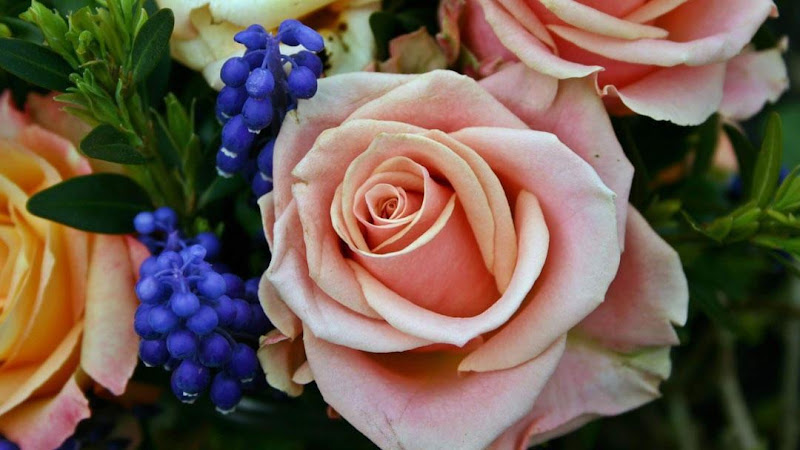 Funeral Services at Leek & Sons Funeral Home in Urbana, Illinois | FuneralHomes.fyi Leek & Sons Funeral Home Urbana Illinois