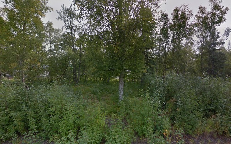 Alaska Ash Scatterings Wasilla Alaska