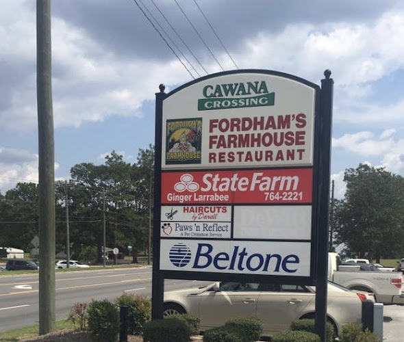 Paws ‘n Reflect Statesboro Georgia