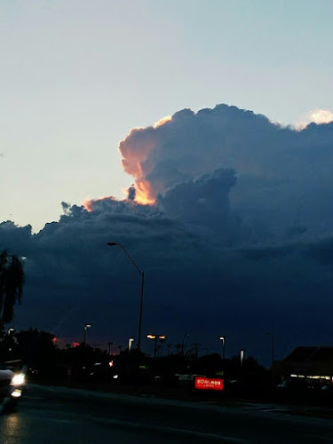 Amos & Sons Funeral Home Inc Johnston South Carolina