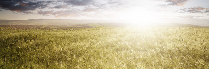 Duffield & Pastrick Funeral Home & Cremation Coloma Michigan