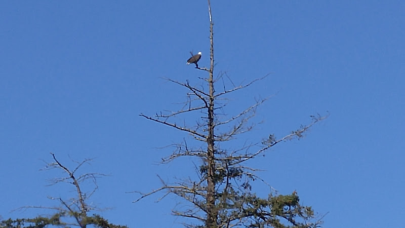 Linde-Price Funeral Service Sequim Washington